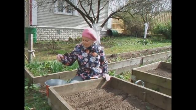 Как вырастить суперукроп почти без зонтиков смотреть онлайн