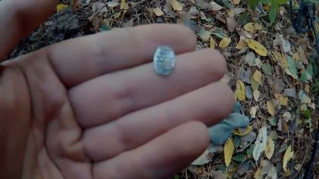 Кладоискательская примета! Рассказ о поиске клада!