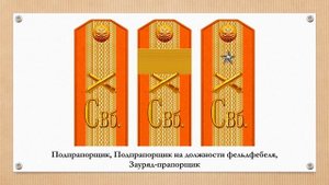 Знаки различия частей крепостной артиллерии Свеаборгской крепости