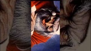 Страшилки от Дядюшки реакция Санта Клаус это ты? Страшилки на ночь