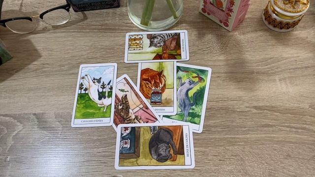 Цвет настроения розовый? Какие приключения вас скоро ждут? Гадание на таро Кошек смотреть онлайн