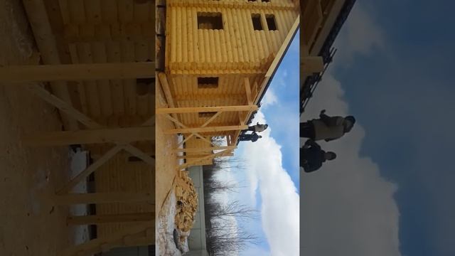 Очень красивый дом из калиброванного бревна.
