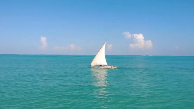 Шактипат-медитация «Земля». Приглашение от Владимира Калабина смотреть онлайн