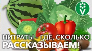 КАК ОБЕЗОПАСИТЬ СЕБЯ ОТ ЧРЕЗМЕРНОГО ПОТРЕБЛЕНИЯ НИТРАТОВ? ПЯТЬ эффективных способов
