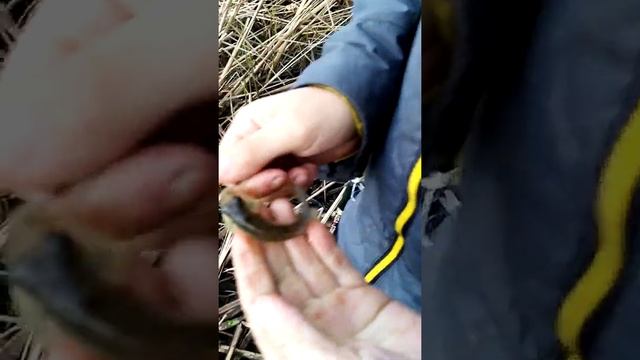 Рыбалка в тихой заводи смотреть онлайн