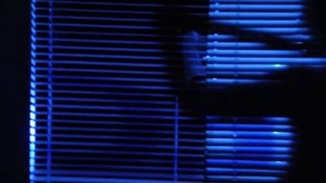 Девять с половиной недель- sweded