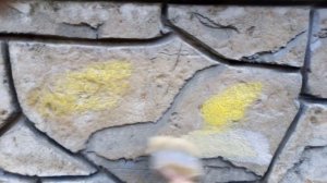 Процесс покраски цоколя