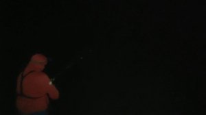 Осенняя рыбалка Сазан на Ахтубе 2021