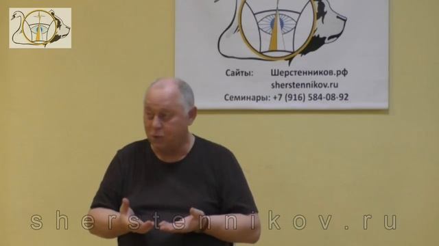 Шерстенников Н.И. Работа с пальцами. Техника "да - нет".