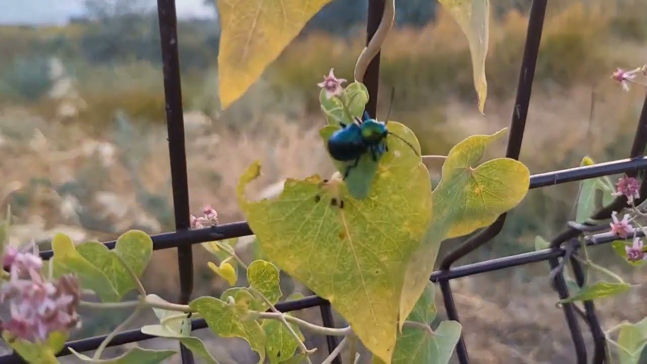 Покупки, море, отдых...