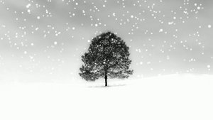 Футаж. Зимний пейзаж 93