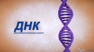 Biz nimadan yaratilganmiz? Hujayra, DNK, Xromosomalar | Из чего мы состоим? Клетка, ДНК, Хромосомы