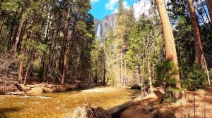 YOSEMITE NATIONAL PARK: Embracing 1 hour of tranquility and harmony