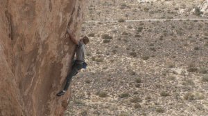 Iconoclast | Joshua Tree National Park | Jeremy Schoenborn