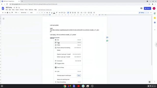 How to install Microsoft Core Fonts on a Chromebook for Linux Applications смотреть онлайн