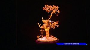 В Нижнем Новгороде открыли выставку «Великолепный Эрмитаж»