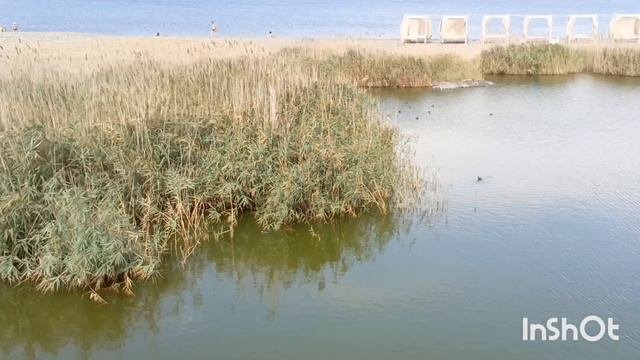 Новороссийск 2024г.