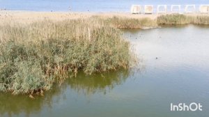 Новороссийск 2024г.