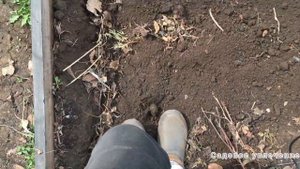 Как сделать грядки выше и полезнее для растений.Подкормка роз.