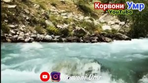 Чавони 25 Сола Духтари 12 Солаи Холаашро Тачовуз карда буд ?