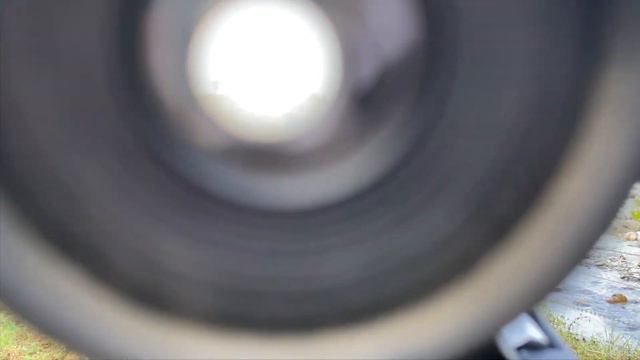 Nikon 12x50 Binocular - ZOOM TEST смотреть онлайн