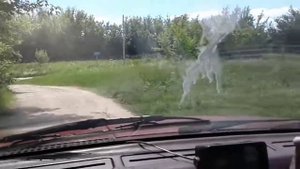 Нижний Воргол
