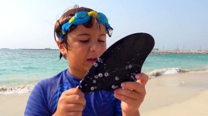 Кто Из Нас САМЫЙ СМЕЛЫЙ ? Папа УСТРОИЛ Челлендж Камилю и Аминке!