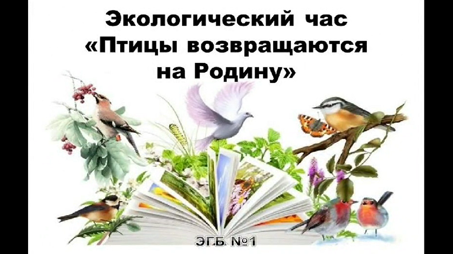 Экологические часы это