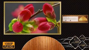Изгнание Шайтана из ДОМА. Аят Аль Курси.АЛЬ Ихляс.The expulsion of shaitan from the house