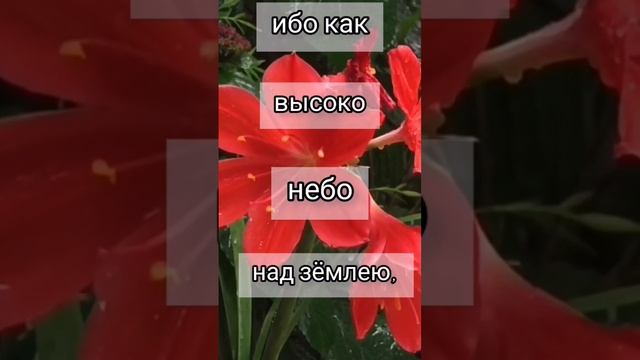 Не по беззакониям нашим сотворил нам... #стихи#Библия