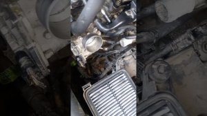 Hyundai Elantra engine and vin number location
