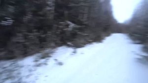 ОХОТА НА ЗАЙЦА С РУССКИМИ ГОНЧИМИ,СМЫЧЕК