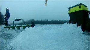 Ловим рыбу на Уводьстрое.