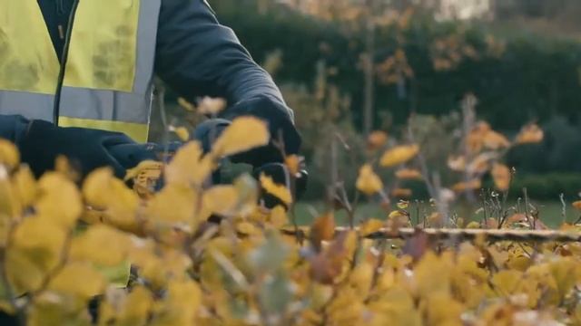 DeWALT DCMHT563 Aku plotostřih, 18 V nůžky na živý plot смотреть онлайн