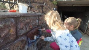 как  бороться  с  солью  выступающию  на  штукатурке.на  декоративном  камне..