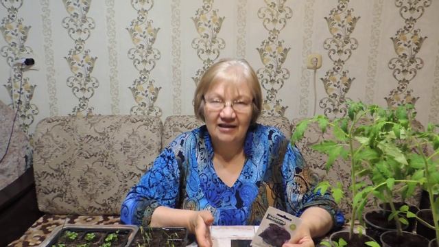 ВОВРЕМЯ СДЕЛАННАЯ ПЕРЕВАЛКА - ЗАЛОГ УСПЕХА! Зелень Базилик и Лимонная ...