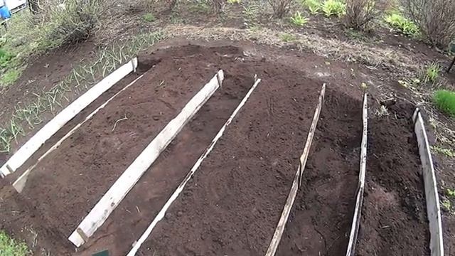 Дела огородные Строю грядки Полю