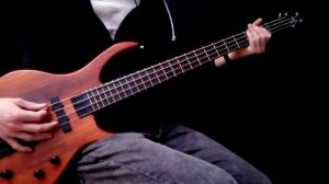 Alice Merton - No Roots (Bass Cover)