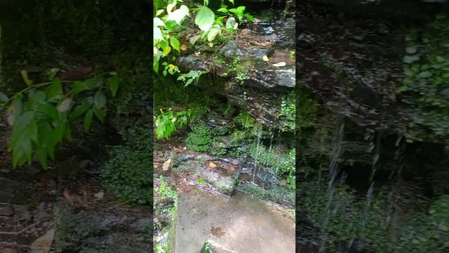 Rickett's Glen Falls Trail, Benton, PA 9/10/22