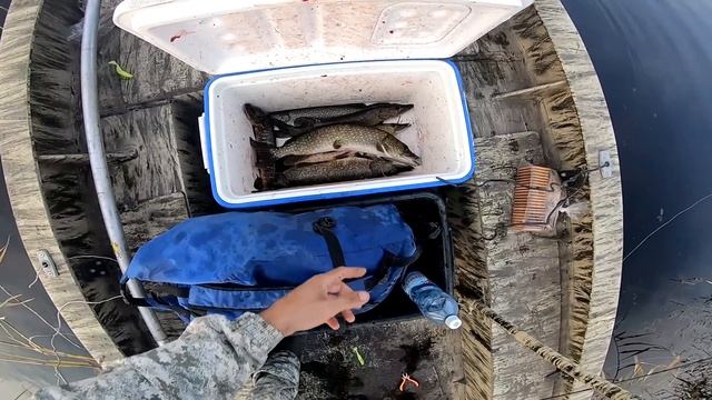 Щучье эльдорадо. Рыбалка 2022 , Рыбалка на щуку, Рыбалка на спиннинг в болоте. смотреть онлайн