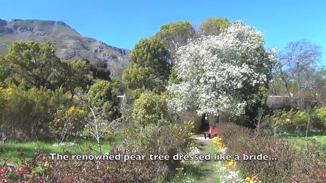 Springtime in Genadendal