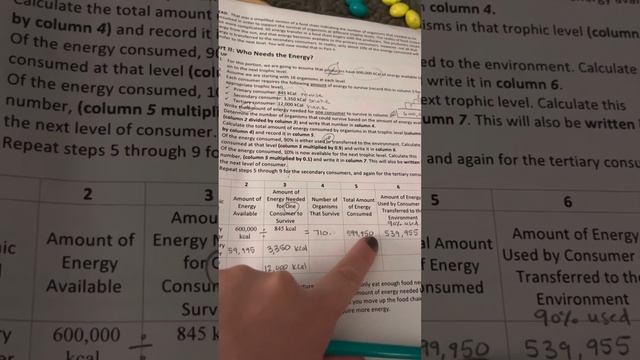 Food Chain Game Part 2 help смотреть онлайн