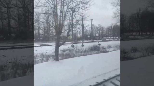 от Купчино до царское село