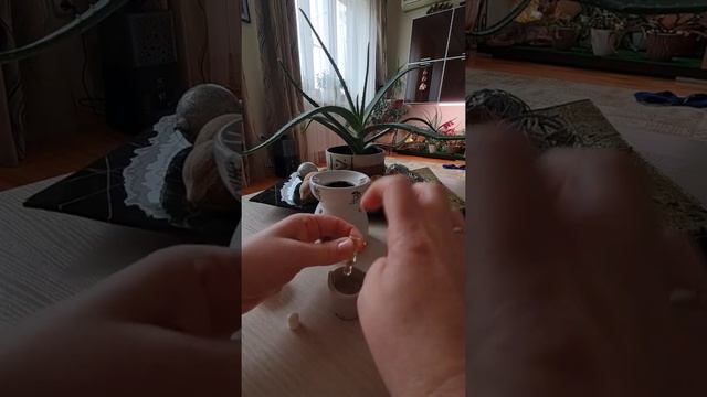 аромалампа, как ей пользоваться?♀️
