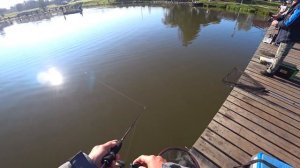 Эта приманка всегда ловит. Ловля форели на спиннинг осенью.