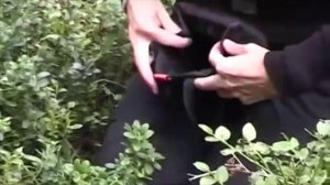 совок для сбора ягод