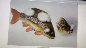 Сапролегниоз и болезнь Штаффа.
