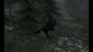 Skyrim - My Ghost Horse