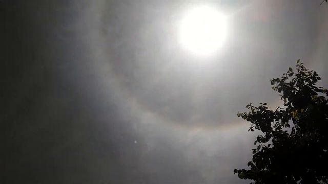 Круг вокруг солнца смотреть онлайн