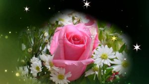 Мелодия любви.mp4